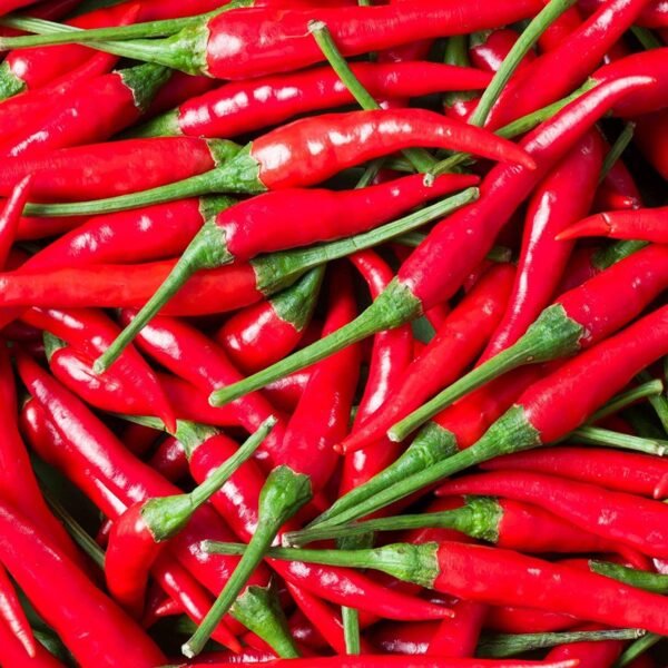 Bullet chilli red per kg